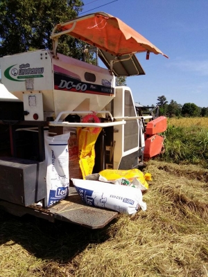 ขายรถเกี่ยวข้าว KUBOTA DC60 รถสวยสภาพพร้อมใช้งาน เอกสารเล่มทะเบียนพร้อมโอน ราคา240,000 สนใจโทร 090-8588220คุณนะ 093-3258446คุณบิว หรือเข้าดูสินค้าอื่นๆได้ที่ www.narong2truck.com หรือ www.truck.in.th/498 หรือเพจFacebook ณรงค์ ซื้อขายรถมือสอง (เว็บไซต์ส่วน