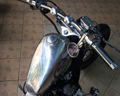 ขาย STEED 400cc ทะเบียนแท้ ( แต่งเต็มสูตร )