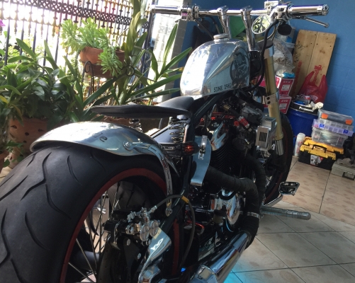 ขาย STEED 400cc ทะเบียนแท้ ( แต่งเต็มสูตร )