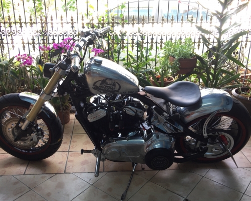 ขาย STEED 400cc ทะเบียนแท้ ( แต่งเต็มสูตร )