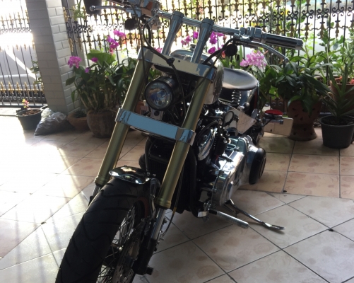 ขาย STEED 400cc ทะเบียนแท้ ( แต่งเต็มสูตร )