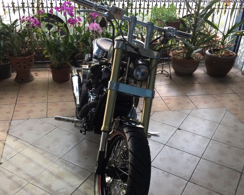 ขาย STEED 400cc ทะเบียนแท้ ( แต่งเต็มสูตร )
