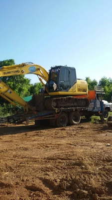 หางปลา หางปลา