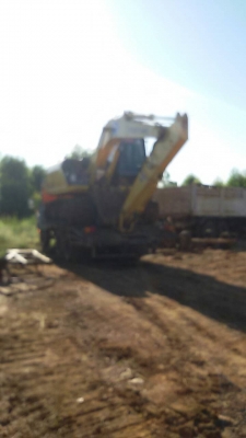 หางปลา หางปลา