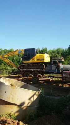 หางปลา หางปลา