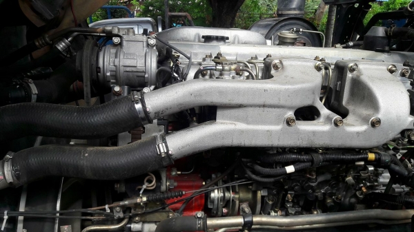 ขายฮีโน่เมก้า ขายฮีโน่เมก้า