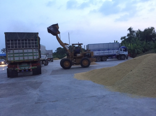 ขายรถตัก TCM รุ่น STD30 สภาพดีพร้อมใช้งาน (เจ้าของขายเองถ้าสนใจราคาคุยกันได้ครับ)