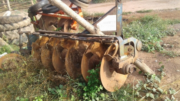 ขายด่วน