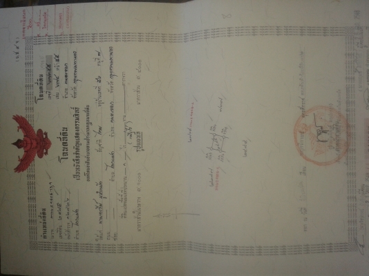 ขายที่ดินเขตหนองจอก