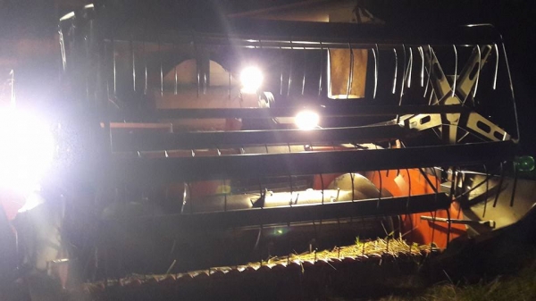 รถเกี่ยวข้าวคูโบต้า DC 68g นิ้วสปริง ปี 54 สภาพพร้อมใช้ครับ รถเกี่ยวข้าวคูโบต้า DC 68g นิ้วสปริง ปี 54 สภาพพร้อมใช้ครับ