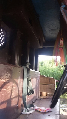 หางปลา หัวยาว หางปลา หัวยาว