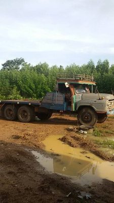 หางปลา หัวยาว หางปลา หัวยาว