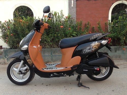 ขายfiore สีดำน้ำตาลปี2554