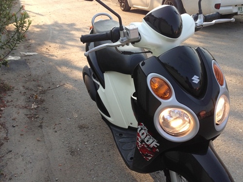 ขายjelatoสีดำปี2554