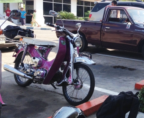 ขาย 65y สวยๆ ราคาเบาๆ