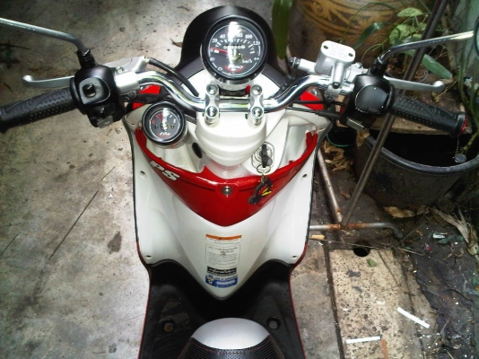 ขาย ฟีโน่ เอกสารครบ 17,000