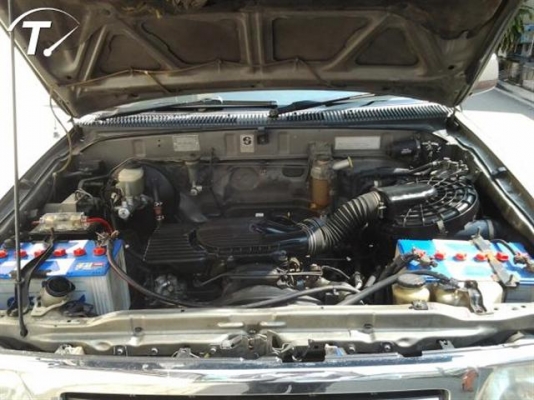 ไทเกอร์สวยๆ ยกสูงเท่ห์ ๆ ราคาตัด