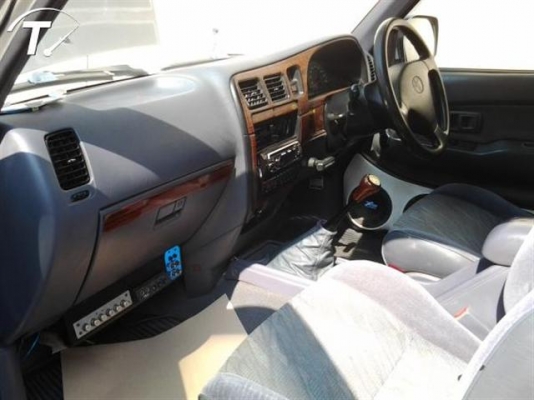 ไทเกอร์สวยๆ ยกสูงเท่ห์ ๆ ราคาตัด