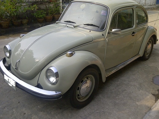 ขายเต่า 1303L Semi Automatic