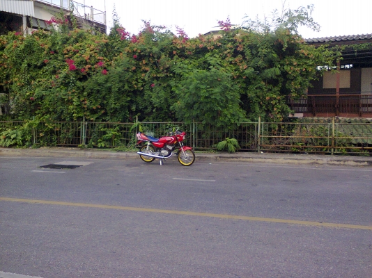 rxs  สวย  แดงๆร้อน