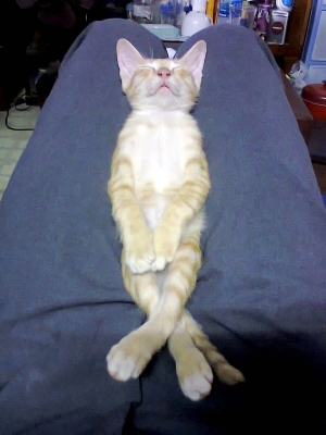 rxs  สวย  แดงๆร้อน