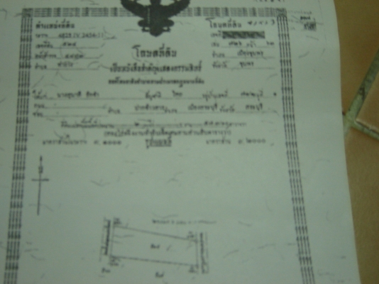 ขายที่่ 5ไร่  เศษ ใกล้ท่าเรือเกาะเต่า ชุมพร สายปากน้ำ ไร่ละ600000 บาท โทร. 0892406621