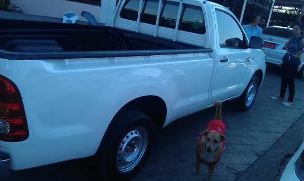 ขายรถกระบะวีโก้ตอนเดียวเครื่องเบนซิลติดแก็สพร้อมใช้งาน ขายรถกระบะวีโก้ตอนเดียวเครื่องเบนซิลติดแก็สพร้อมใช้งาน