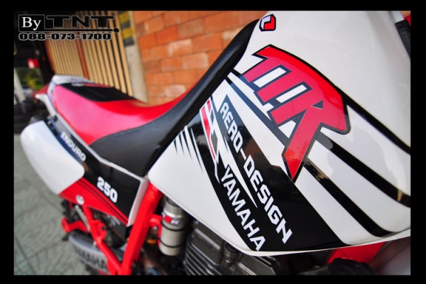 <TNT>ขาย YAMAHA TTR 250 cc.( ENDURO ) 1สูบ ปี95 /ทะเบียนแท้/..สวยๆ>>>