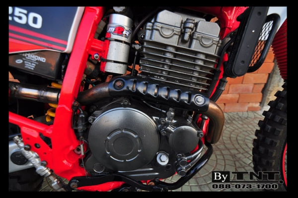 <TNT>ขาย YAMAHA TTR 250 cc.( ENDURO ) 1สูบ ปี95 /ทะเบียนแท้/..สวยๆ>>>