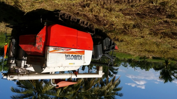 พร้อมเกี่ยวครับ