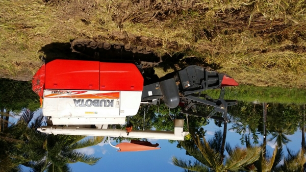 พร้อมเกี่ยวครับ