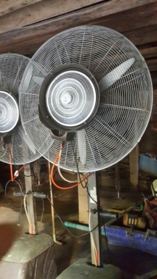 พัดลมไอน้ำ