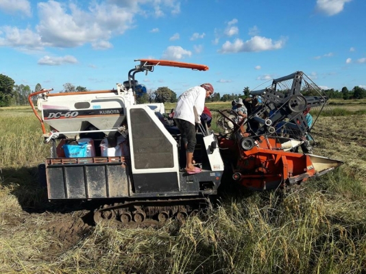 ขายรถเกี่ยวข้าว DC60เอกสารเล่มทะเบียน ช่วงล่างดี เครื่องแน่น ระบบเกี่ยวพร้อมทำงาน