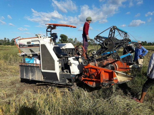 ขายรถเกี่ยวข้าว DC60เอกสารเล่มทะเบียน ช่วงล่างดี เครื่องแน่น ระบบเกี่ยวพร้อมทำงาน