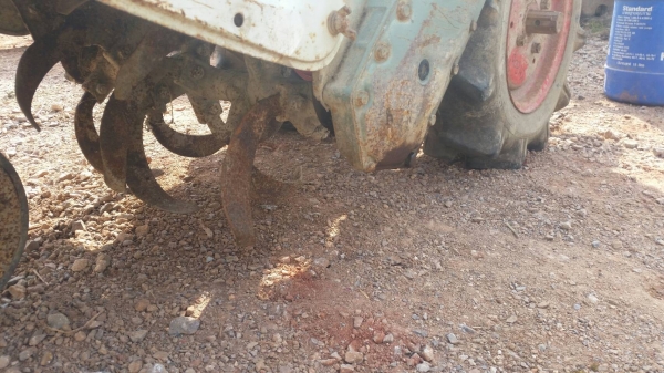 ขาย รถไถนาเดินตาม YANMAR YH800 เครื่องดีเซล เก่าญี่ปุ่น พร้อมใช้ สภาพสวย ขาย รถไถนาเดินตาม YANMAR YH800 เครื่องดีเซล เก่าญี่ปุ่น พร้อมใช้ สภาพสวย