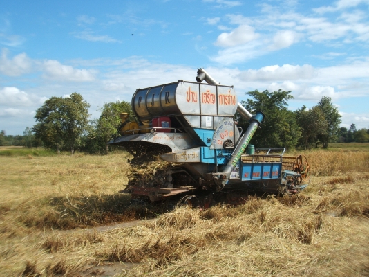 ขายรถเกี่ยวข้างปานเจริญ อุ้ม 2.5 ตัน เครื่องยนต์ JO8C ตัวเดิน 12 HT ปั้มไดกิ้นส์เบอร์ 22 สภาพดีพร้อมใช้งานกำลังเกี่ยว