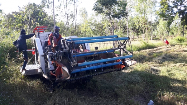 ขายรถเกี่ยวข้าวKUBOTA DC60 สภาพพร้อมใช้งาน(ราคา260,000)(กำลังเกี่ยวข้าวอยู่ทุกวัน)เกี่ยวข้าวล้มสบายๆ ปากเกี่ยวเลส คอเกี่ยวเลส นามีน้ำลุยสบายๆ ปั้มพ์แรง เดินคล่อง ช่วงล่างดี เอกสารเล่มทะเบียนพร้อมโอน ภาษีเต็ม สนใจโทร!!!เจ้าของโดยตรง 0857698049/ 0887115178