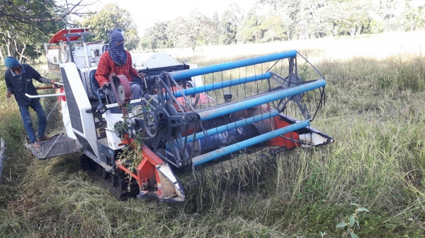 ขายรถเกี่ยวข้าวKUBOTA DC60 สภาพพร้อมใช้งาน(ราคา260,000)(กำลังเกี่ยวข้าวอยู่ทุกวัน)เกี่ยวข้าวล้มสบายๆ ปากเกี่ยวเลส คอเกี่ยวเลส นามีน้ำลุยสบายๆ ปั้มพ์แรง เดินคล่อง ช่วงล่างดี เอกสารเล่มทะเบียนพร้อมโอน ภาษีเต็ม สนใจโทร!!!เจ้าของโดยตรง 0857698049/ 0887115178