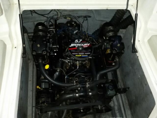 ขายเรือbayliner 24.9 ฟุต