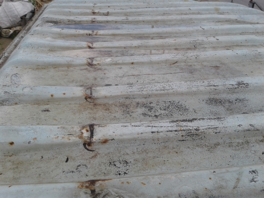 ขอบคุณทีมงานพี่เสือมากๆและขอบคุณ คุณปรีชาจากวังน้อยด้วยครับ ขอบคุณทีมงานพี่เสือมากๆและขอบคุณ คุณปรีชาจากวังน้อยด้วยครับ