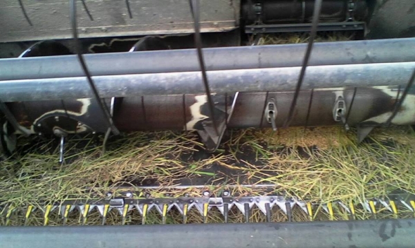 ขายรถเกี่ยวข้าวคูโบต้าDC70ปี57 ทำงานพัน ชม.พร้อมรถลากสาลี่ สภาพสวยพร้อมทำงาน