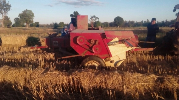 รถอัดฟาง   INTERNATIONAL  430  พร้อมใช้งาน ราคา เบาฯฯ  165000  บาท    วันทูคอล 0986683479 dtac 0991751349 สิทธิ์ คับ