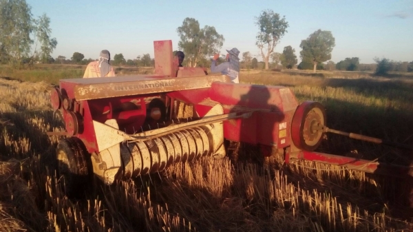 รถอัดฟาง   INTERNATIONAL  430  พร้อมใช้งาน ราคา เบาฯฯ  165000  บาท    วันทูคอล 0986683479 dtac 0991751349 สิทธิ์ คับ