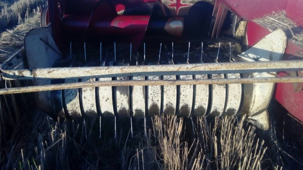 รถอัดฟาง   INTERNATIONAL  430  พร้อมใช้งาน ราคา เบาฯฯ  165000  บาท    วันทูคอล 0986683479 dtac 0991751349 สิทธิ์ คับ