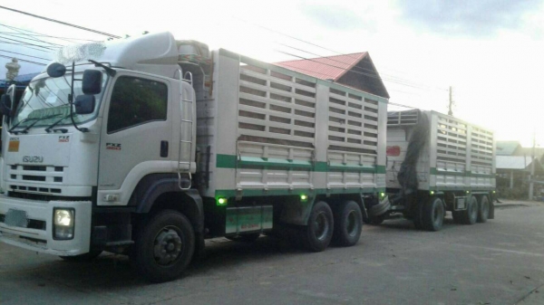 ขายรถพ่วง 22 ล้อ แม่-ลูก กระบะเหล็กคอกเกษตรไม่ดั้ม ISUZU 360 ปี.56 รถสวยพร้อมใช้ ราคา.2400000 ต่อรอง
