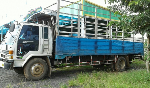 ขายรถห้างแท้ หกล้อ อีซูชุ ร็อคกี้ FTR11H-175hpโบว์อินเตอร์ แอร์ พ.เวอร์ ทิฟฟี้ แคชชีใหญ่ตลอด ยาง900 ช่วงยาว7.20ม รถห้าง.สภาพดีสวยพร้อมใช้ ทะเบียนพร้อมโอน ขายรถห้างแท้ หกล้อ อีซูชุ ร็อคกี้ FTR11H-175hpโบว์อินเตอร์ แอร์ พ.เวอร์ ทิฟฟี้ แคชชีใหญ่ตลอด ยาง900 ช่วงยาว7.20ม รถห้าง.สภาพดีสวยพร้อมใช้ ทะเบียนพร้อมโอน