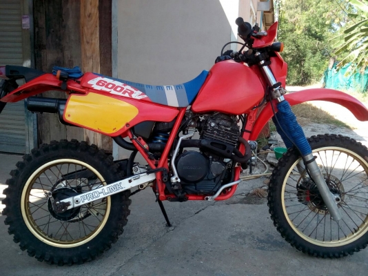 xr600r