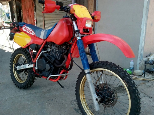 xr600r