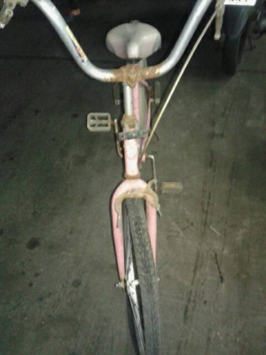 จักรยานแม่บ้าน 260.-