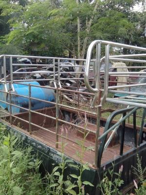 ลูกกระบะอีซูซุเคบี